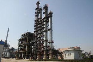 中国石化青岛石油化工有限责任公司的地理位置