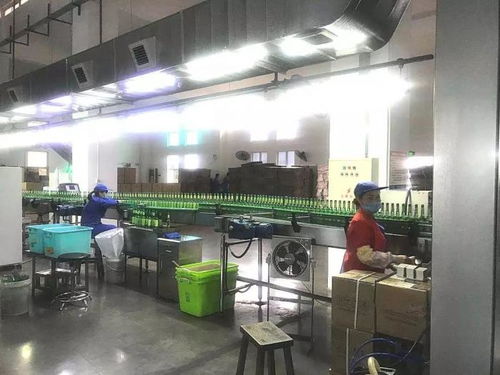 上海家化陆续复工 优先加急生产六神抑菌洗手液等防疫物资