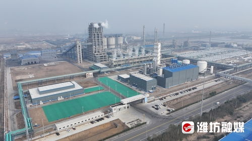 拼经济进行时 寿光 抓早抢先争主动 全力以赴开新局